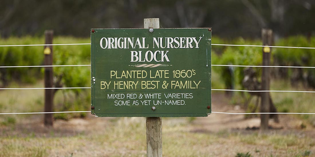 Sign of  nursery block in vineyard. 